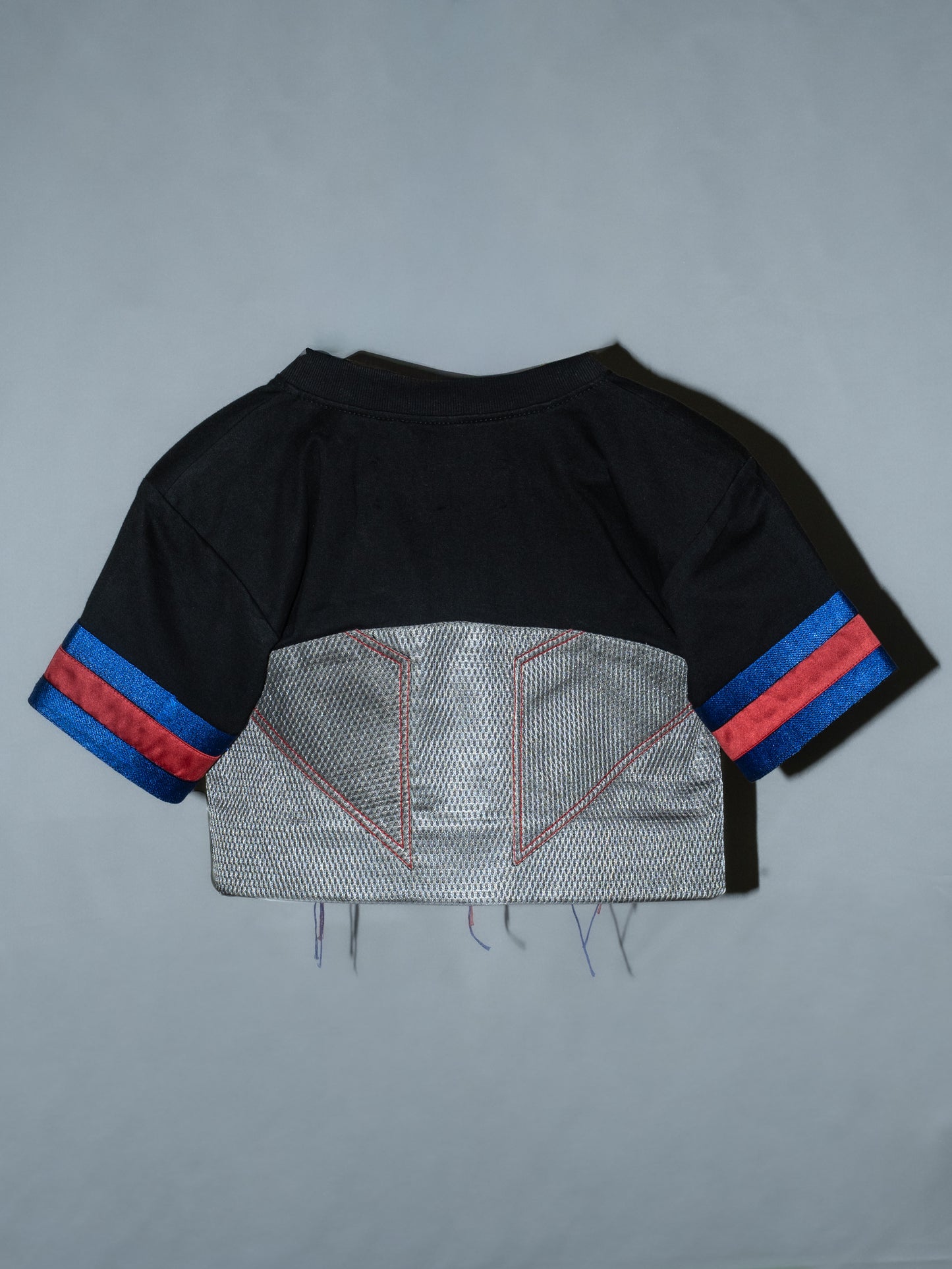 Lucious Cropped T-Shirt
