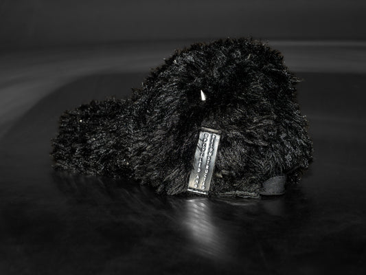 Black Fur Cap